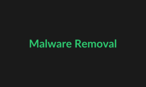 Server Malware Cleanup Service