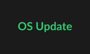 Server OS Patch & Update