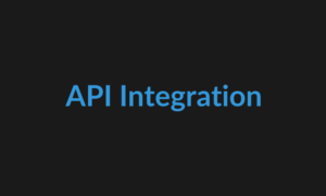Custom API Integration Service