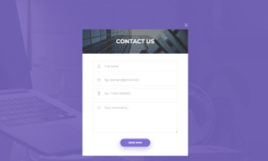 Contact Form Issue Fix