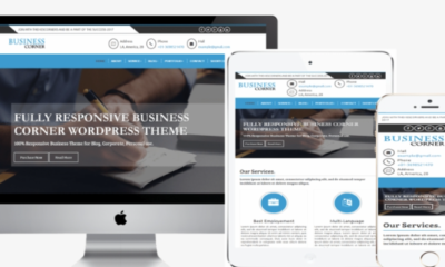 Corporate Website (5-7 Pages)