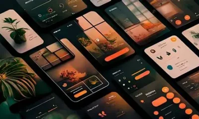 Branding & Visual Identity